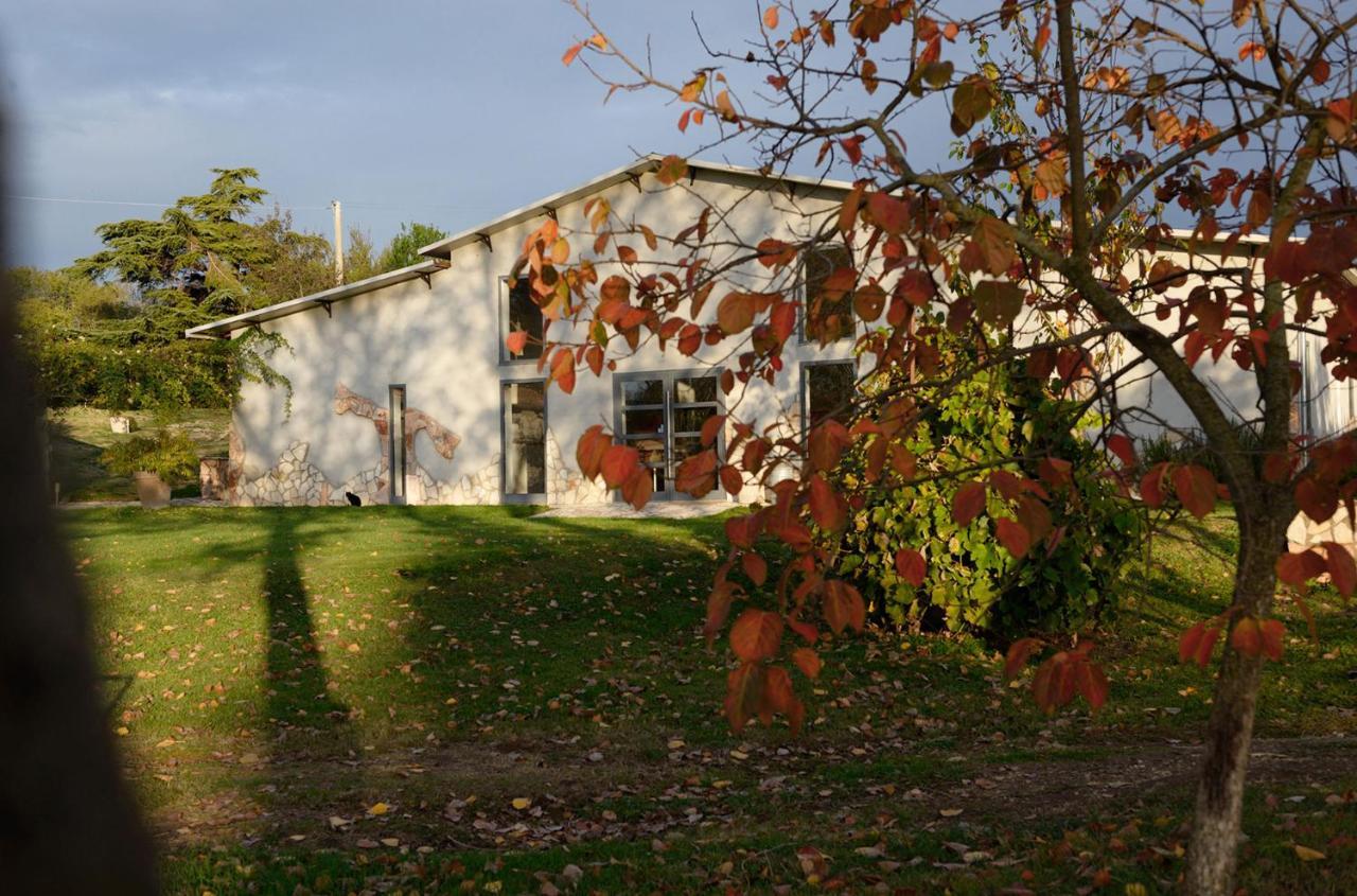 Agriturismo Arte Et Agricoltura Tuscania Ngoại thất bức ảnh