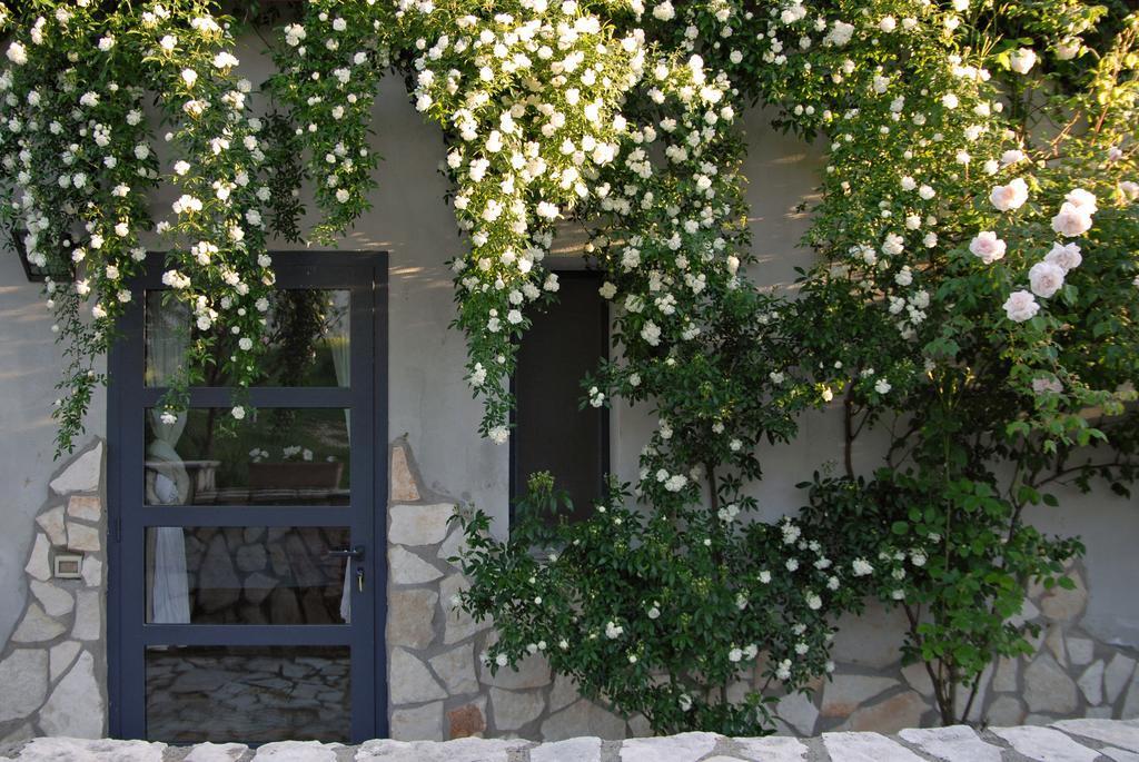 Agriturismo Arte Et Agricoltura Tuscania Ngoại thất bức ảnh