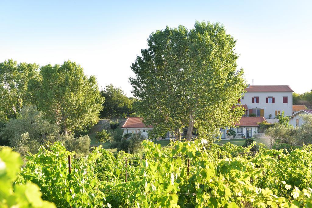 Agriturismo Arte Et Agricoltura Tuscania Ngoại thất bức ảnh