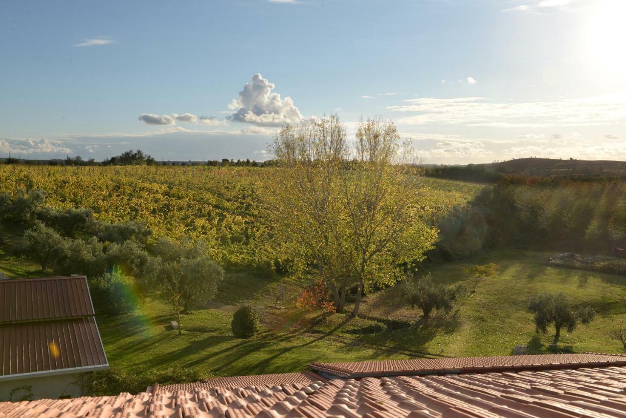 Agriturismo Arte Et Agricoltura Tuscania Ngoại thất bức ảnh